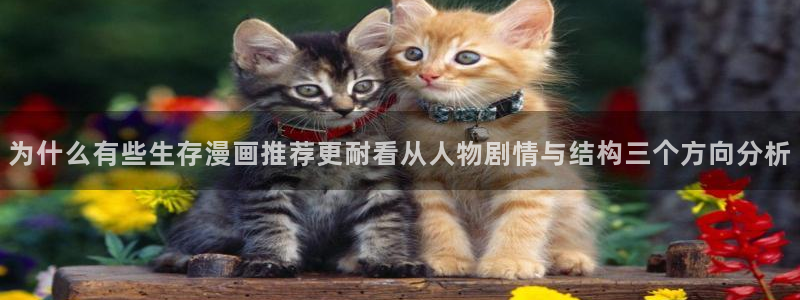 免费漫画热门分类