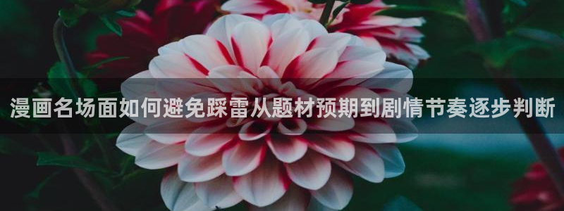 免费漫画更新大全