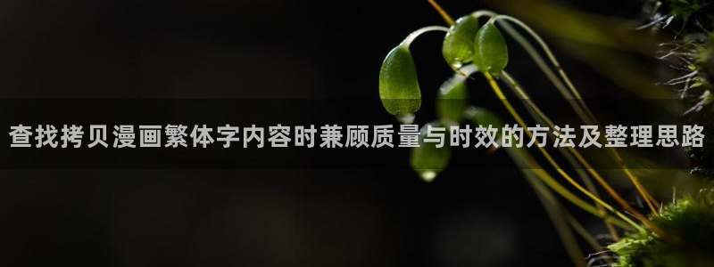 免费漫画新漫画推荐:查找拷贝漫画繁体字内容时兼顾质量与时效的方法及整理思路