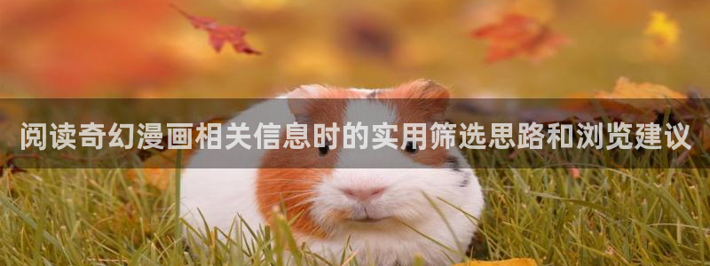 免费看漫画:阅读奇幻漫画相关信息时的实用筛选思路和浏览建议