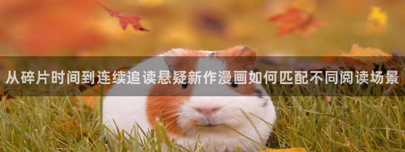 免费漫画排行榜:从碎片时间到连续追读悬疑新作漫画如何匹配不同阅读场景